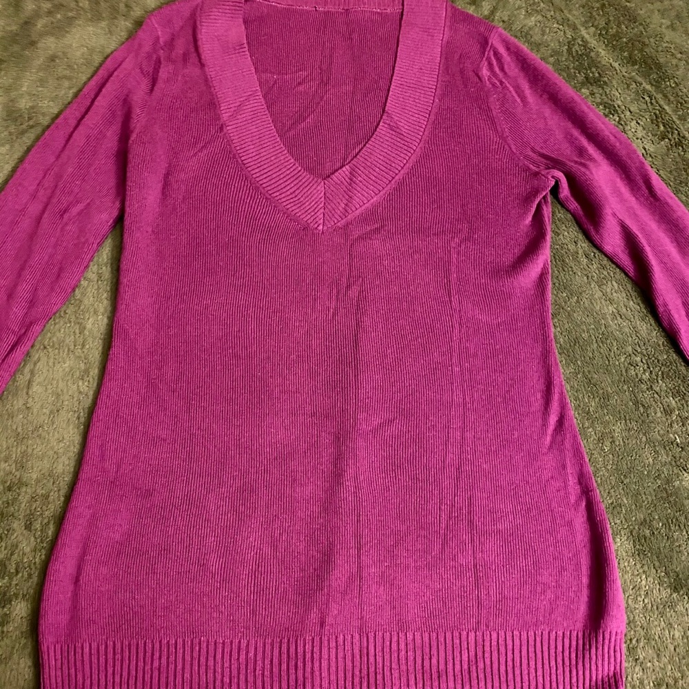 Express V Neck Fitted Sweater